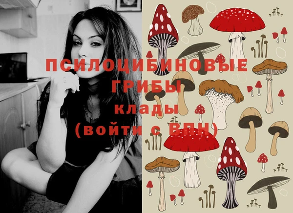 марки nbome Богородицк